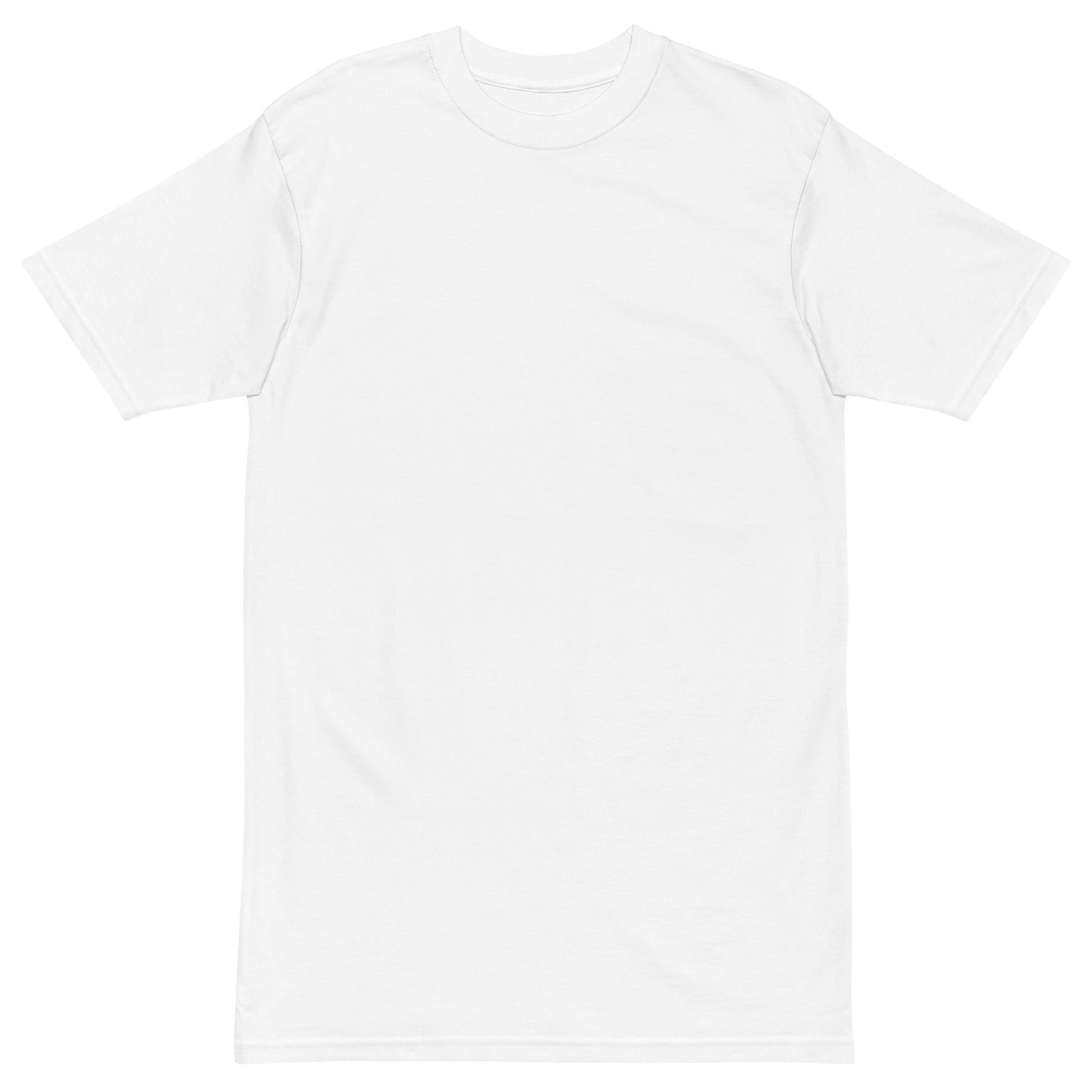 dnls.clothing Men's Premium Heavyweight Tee